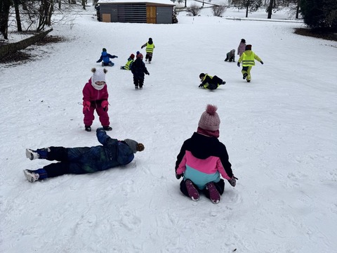 Projektový den - Zvířátka v zimě 03.02.2026
