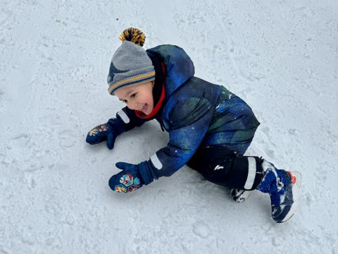 Projektový den - Zvířátka v zimě 03.02.2026
