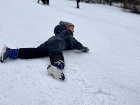 Projektový den - Zvířátka v zimě 03.02.2026