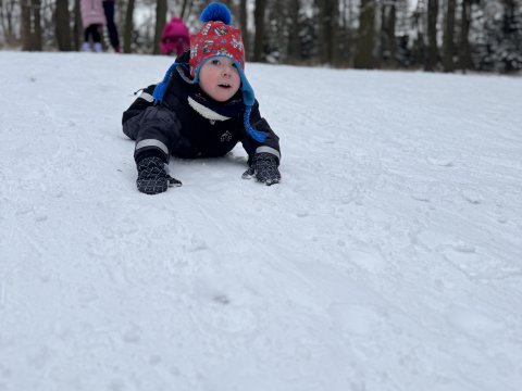 Projektový den - Zvířátka v zimě 03.02.2026